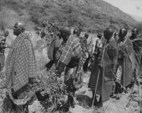 Maasai group