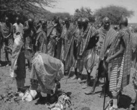 Maasai elders