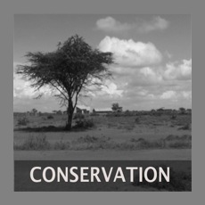 Conservation link