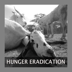 Hunger eradication link